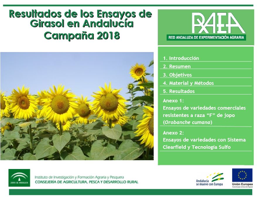 RAEA-2018