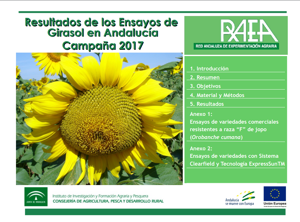 RAEA