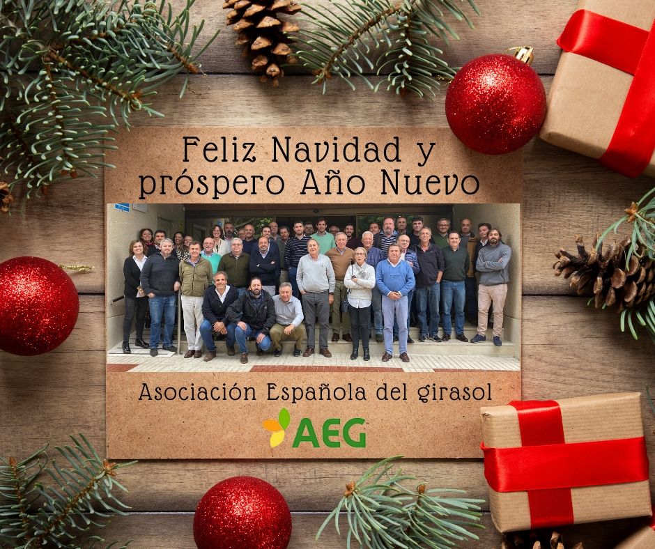 feliz-navidad-y-prospero-ano-nuevo-2